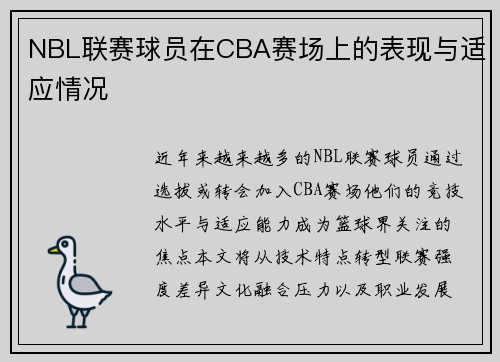 NBL联赛球员在CBA赛场上的表现与适应情况