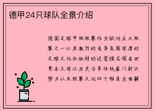 德甲24只球队全景介绍